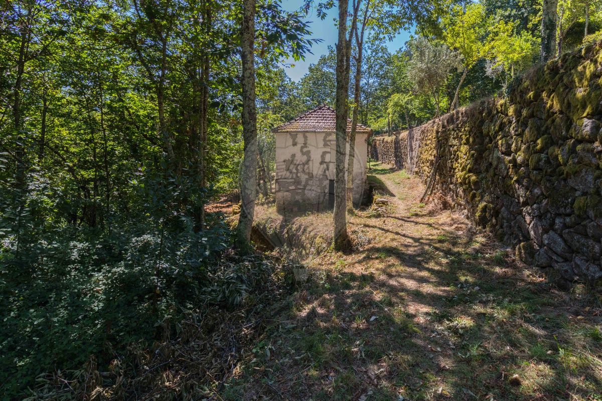 listing 122211058-877 picture-0