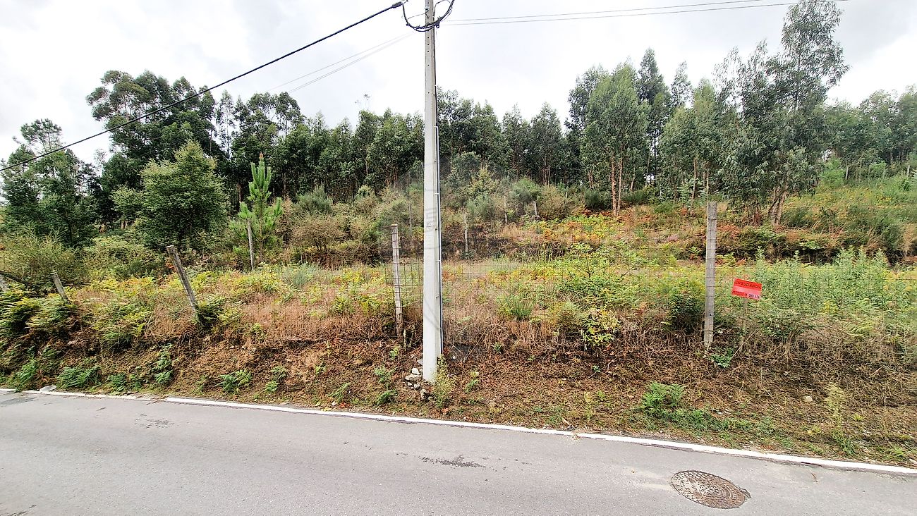 Terreno para venda