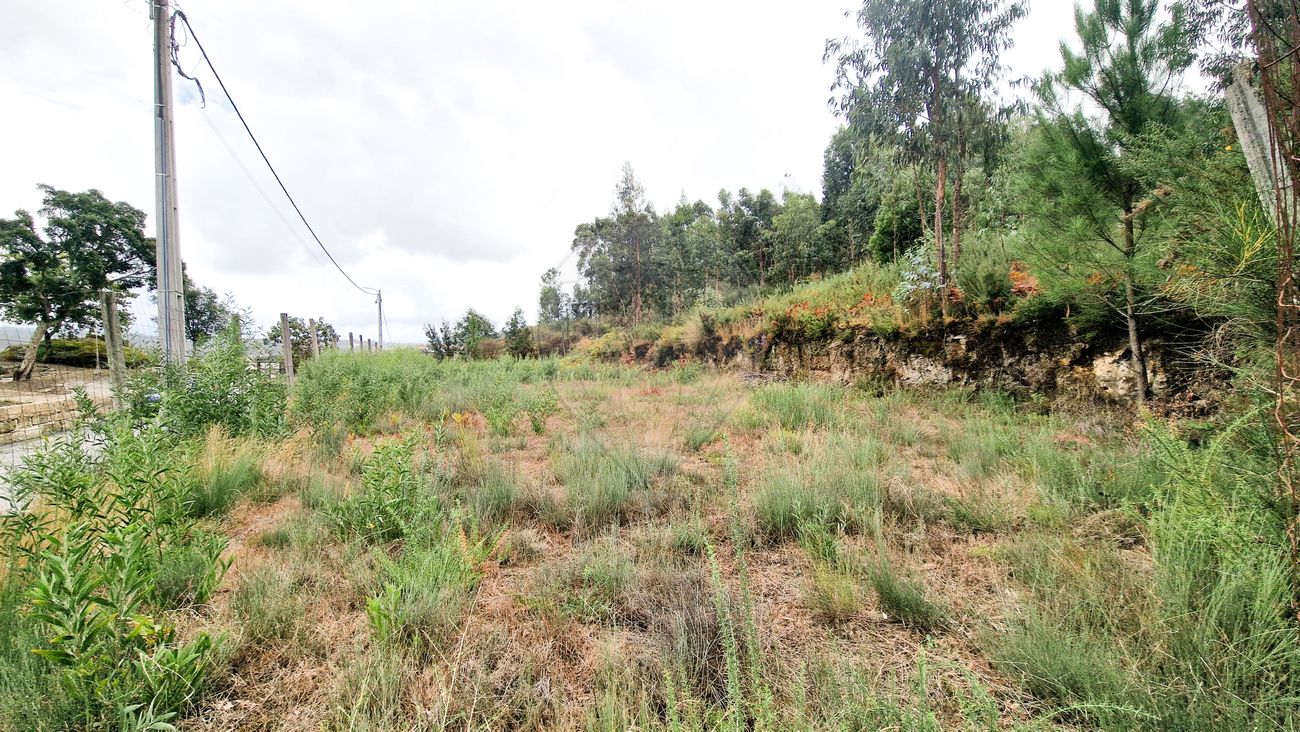 Terreno para venda