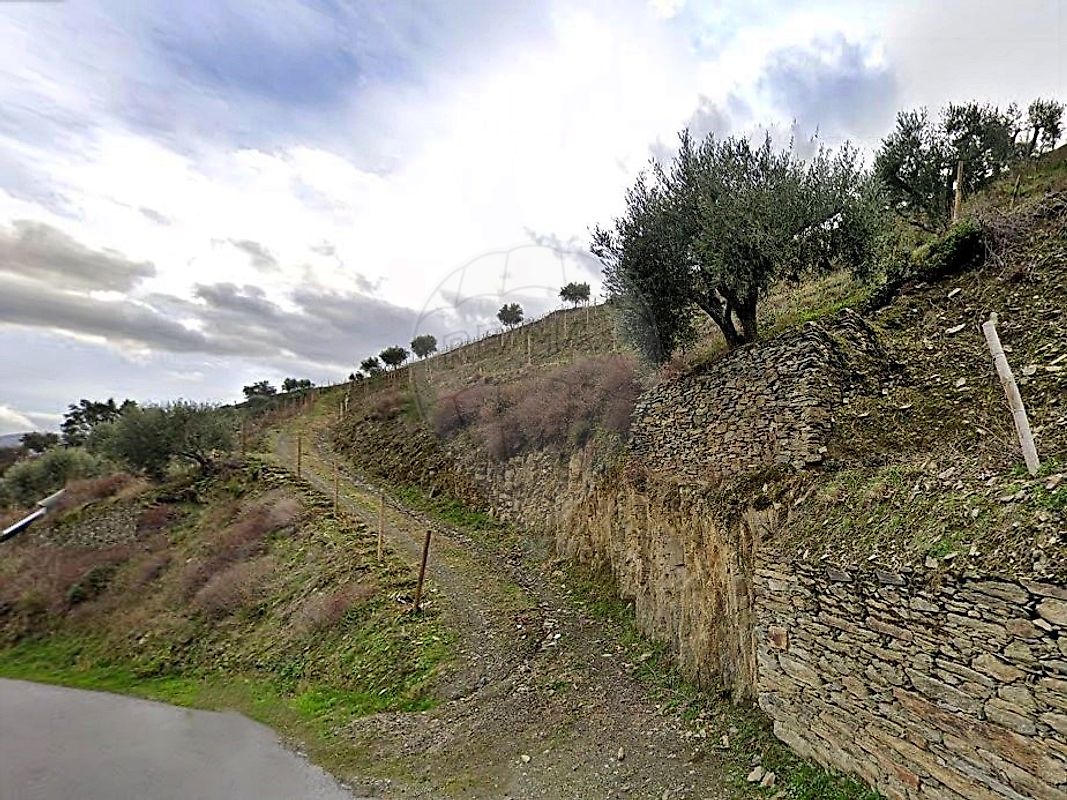 Terreno  para venda