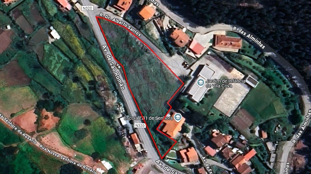 Imagem detalhe 2