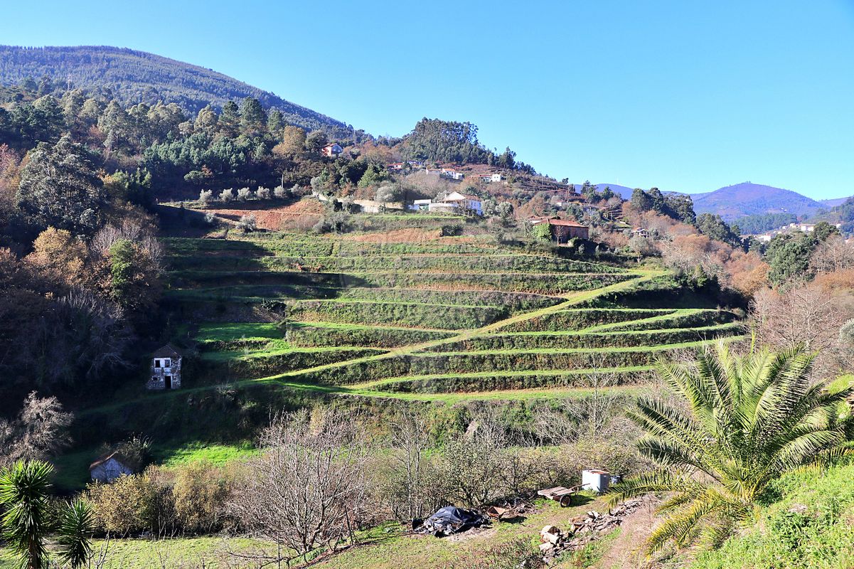 Quinta para venda