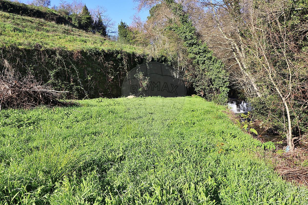 Imagem detalhe 38