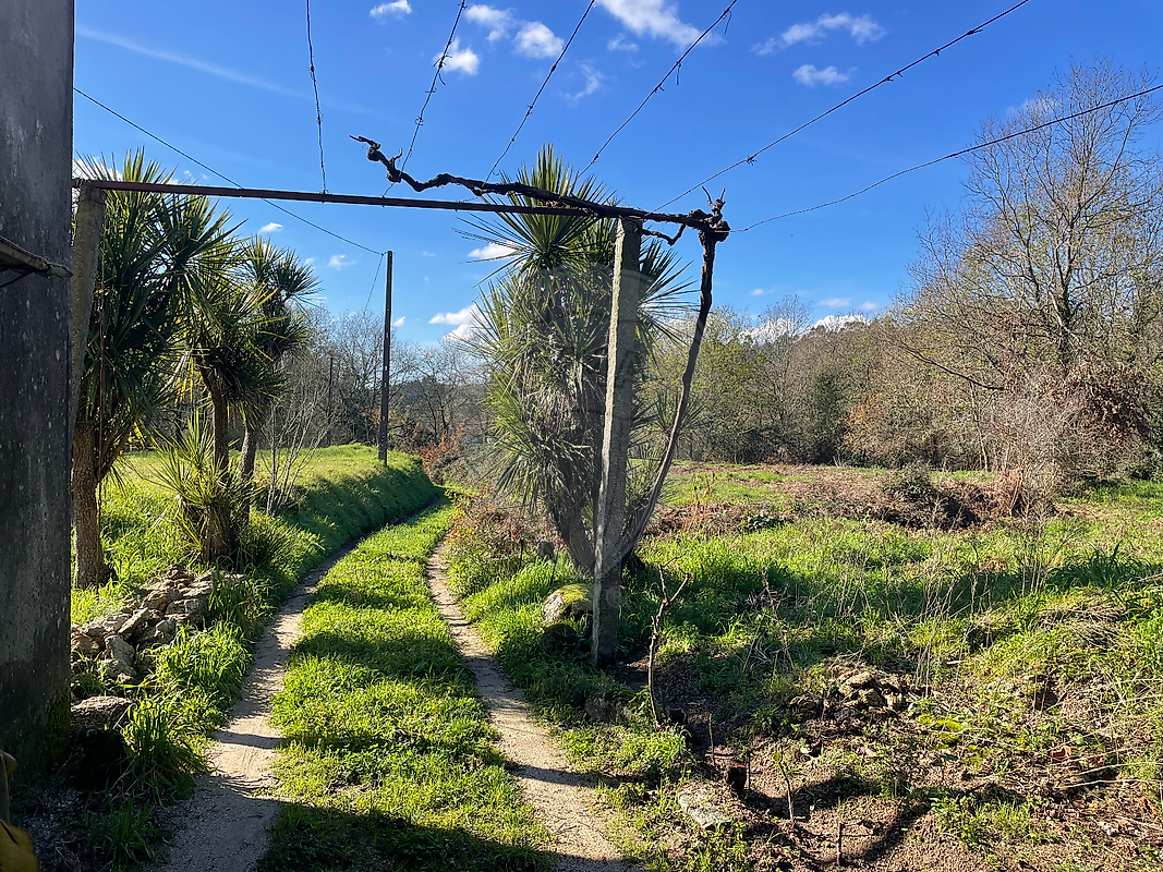 Terreno para venda
