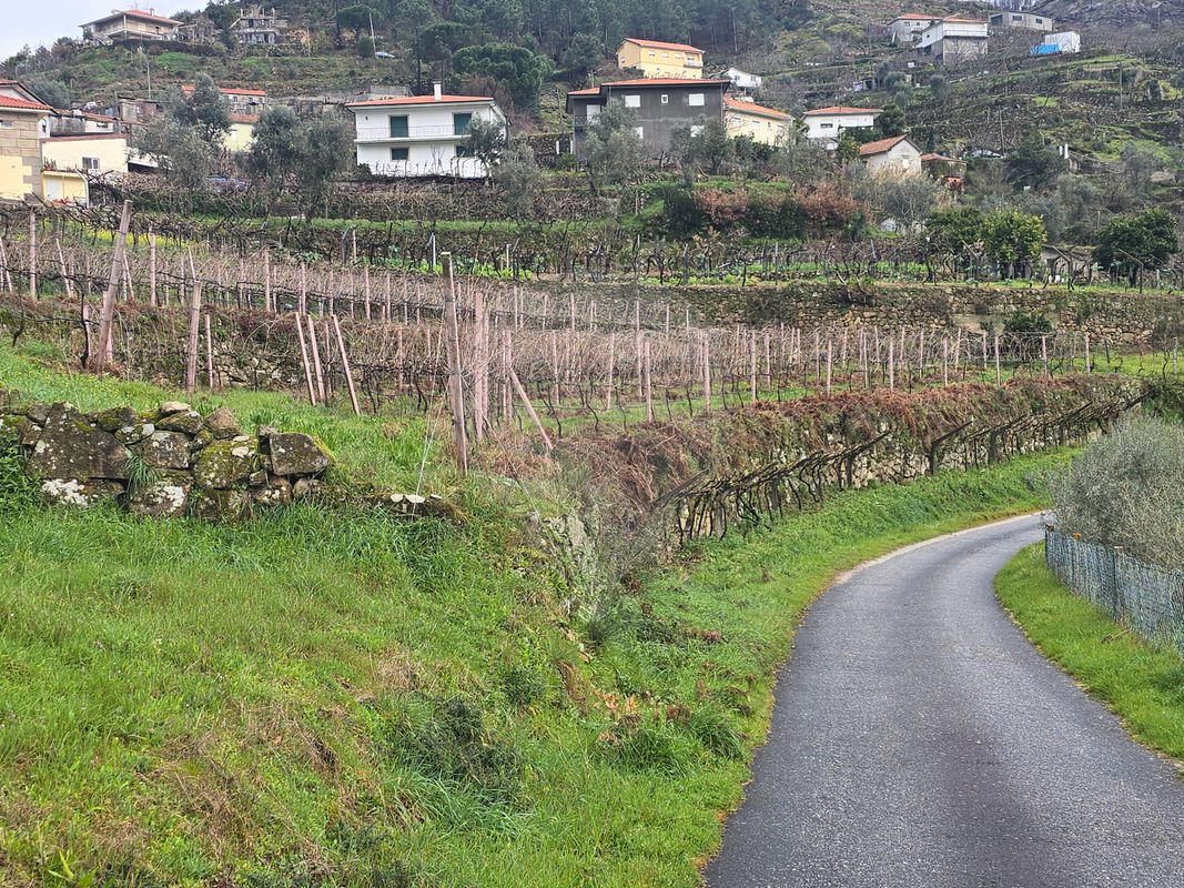 Terreno  para venda