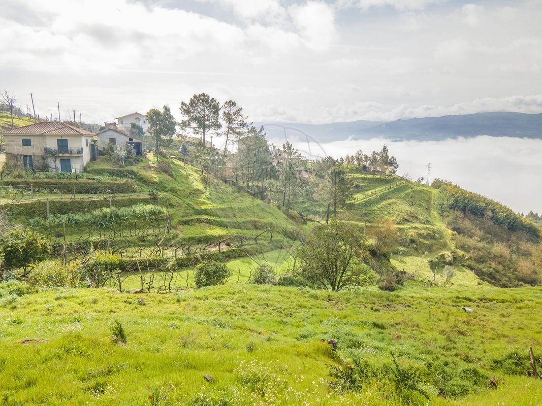 Terreno para venda
