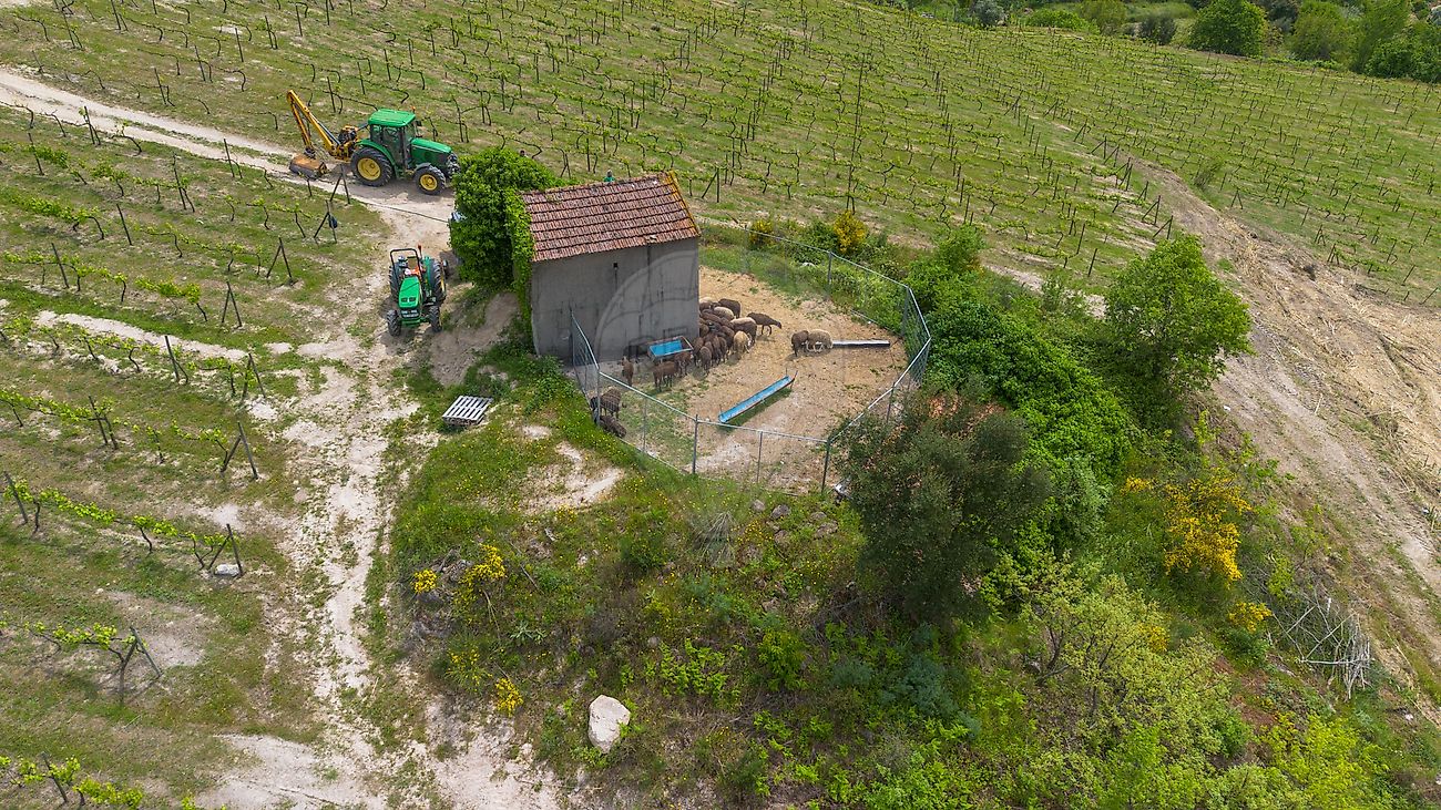 listing-picture-0