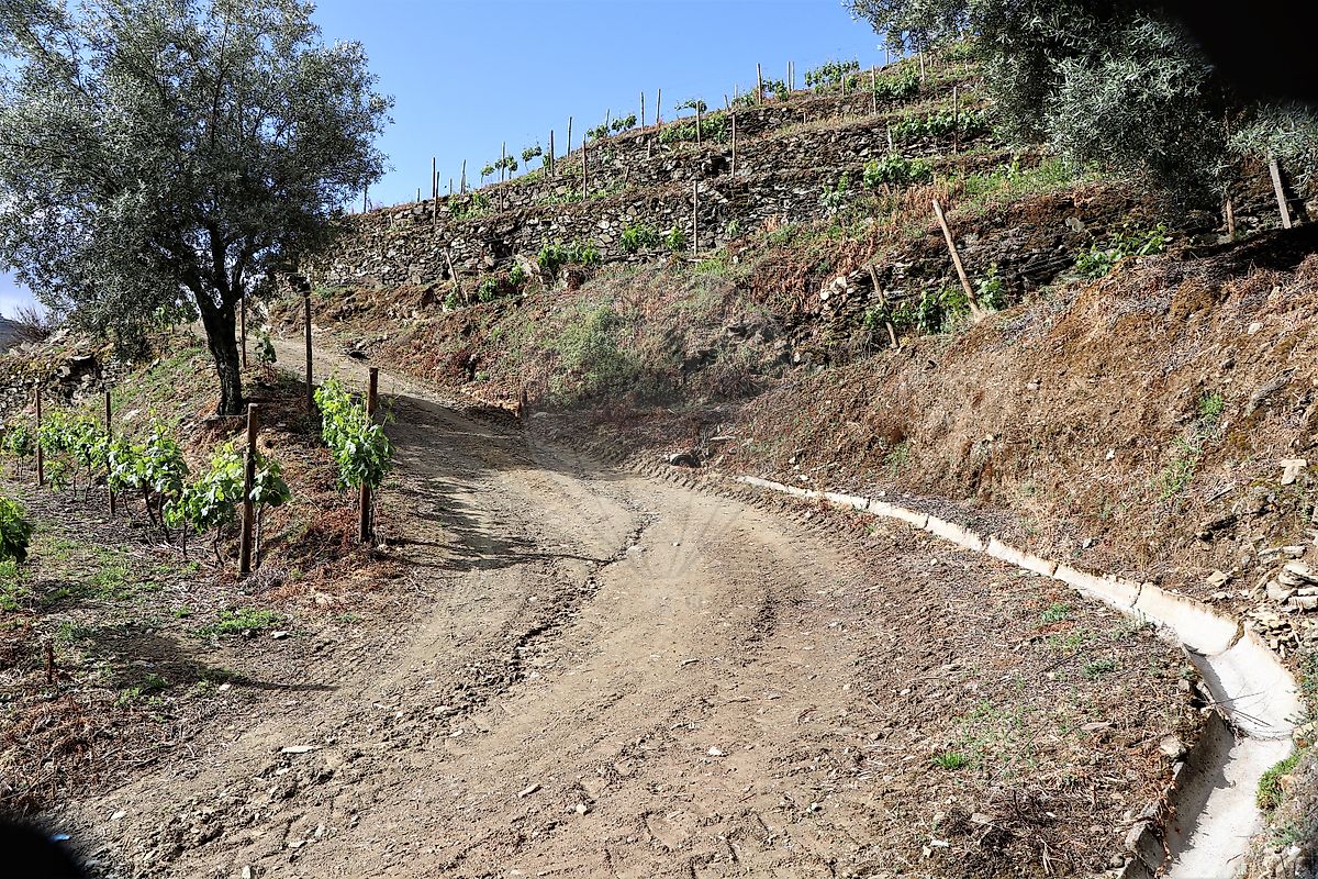 Quinta para venda