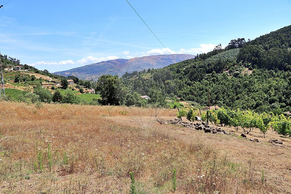 Quinta para venda