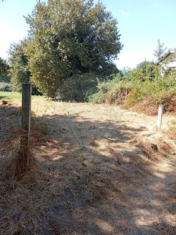 Terreno  para venda