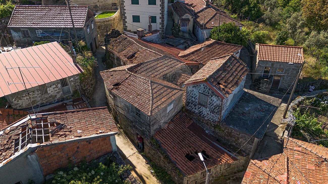 Imagem detalhe 8