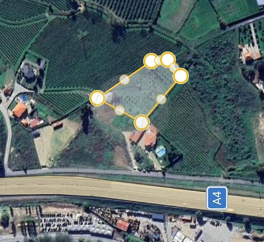 Imagem detalhe 11