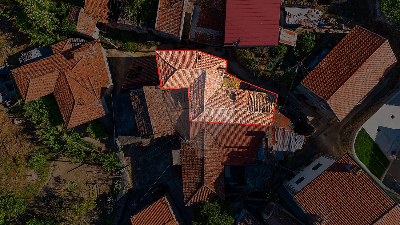 Imagem detalhe 5