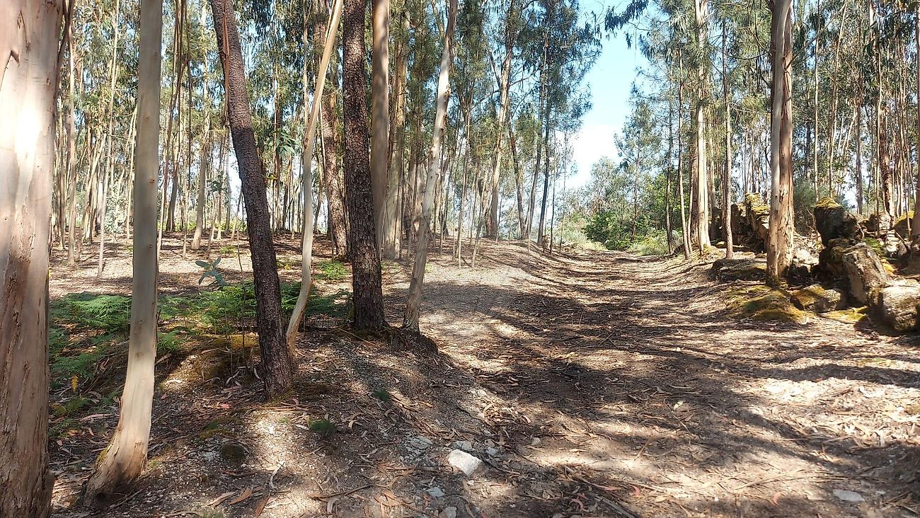Terreno - Abragão, Penafiel, Porto
