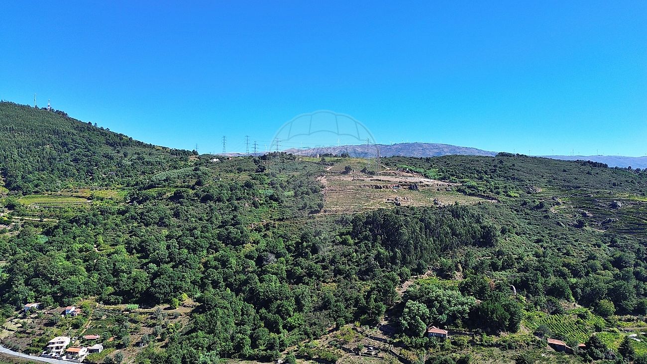 Quinta - Loivos da Ribeira e Tresouras, Baião, Porto