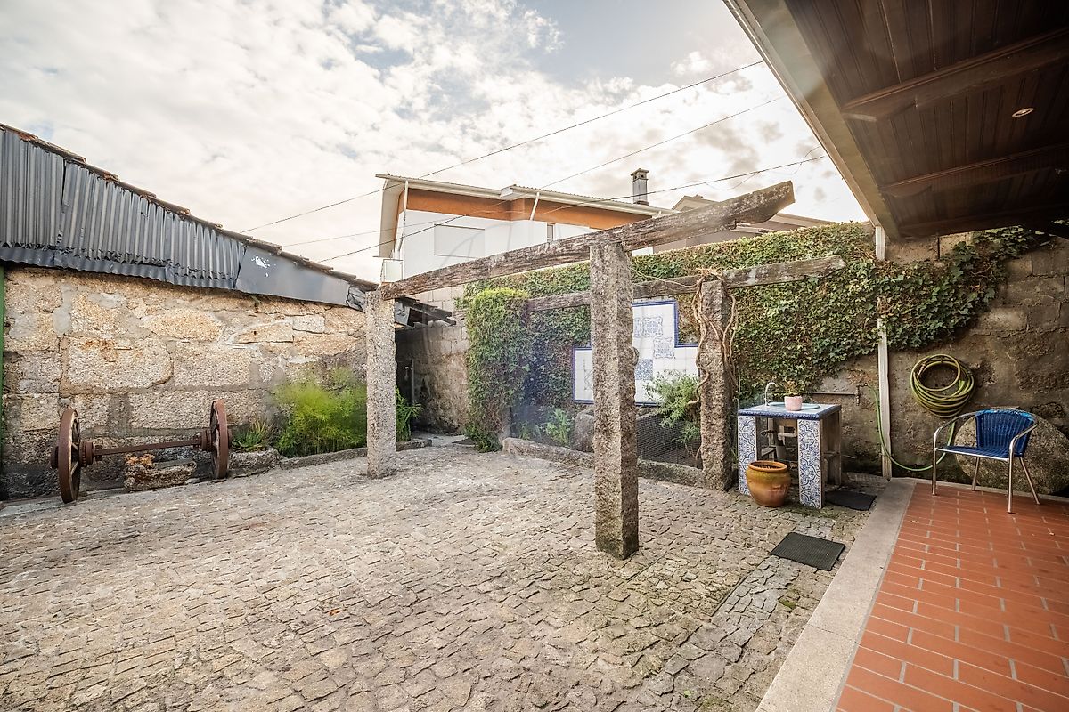 Imagem detalhe 19