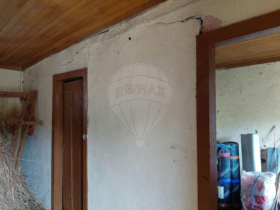 Imagem detalhe 14