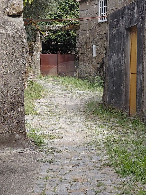 Imagem detalhe 9