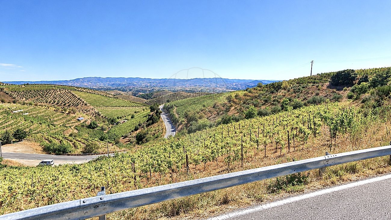 Terreno - Freixo de Numão, Vila Nova de Foz Côa, Guarda