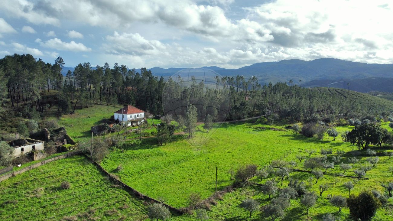 Moradia T6 para venda