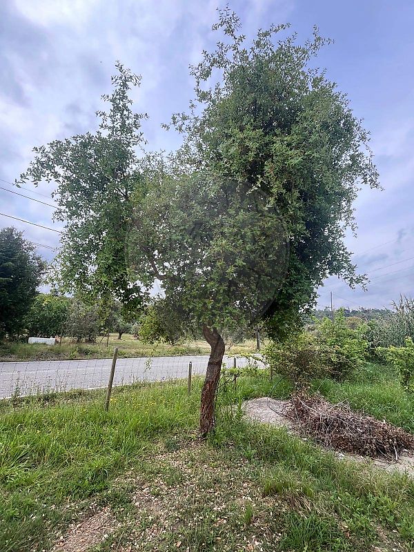 listing 122221251-8 picture-0