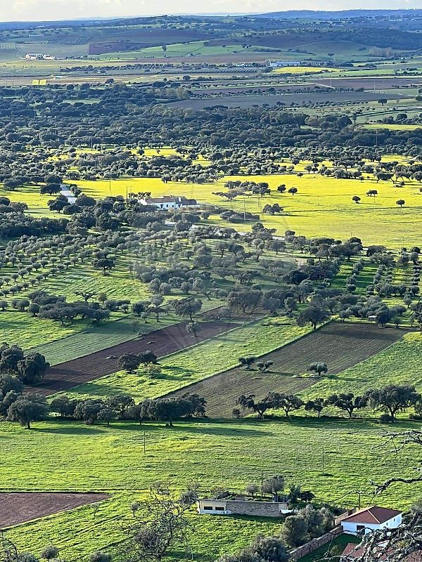 Terreno - Monsaraz, Reguengos de Monsaraz, Évora