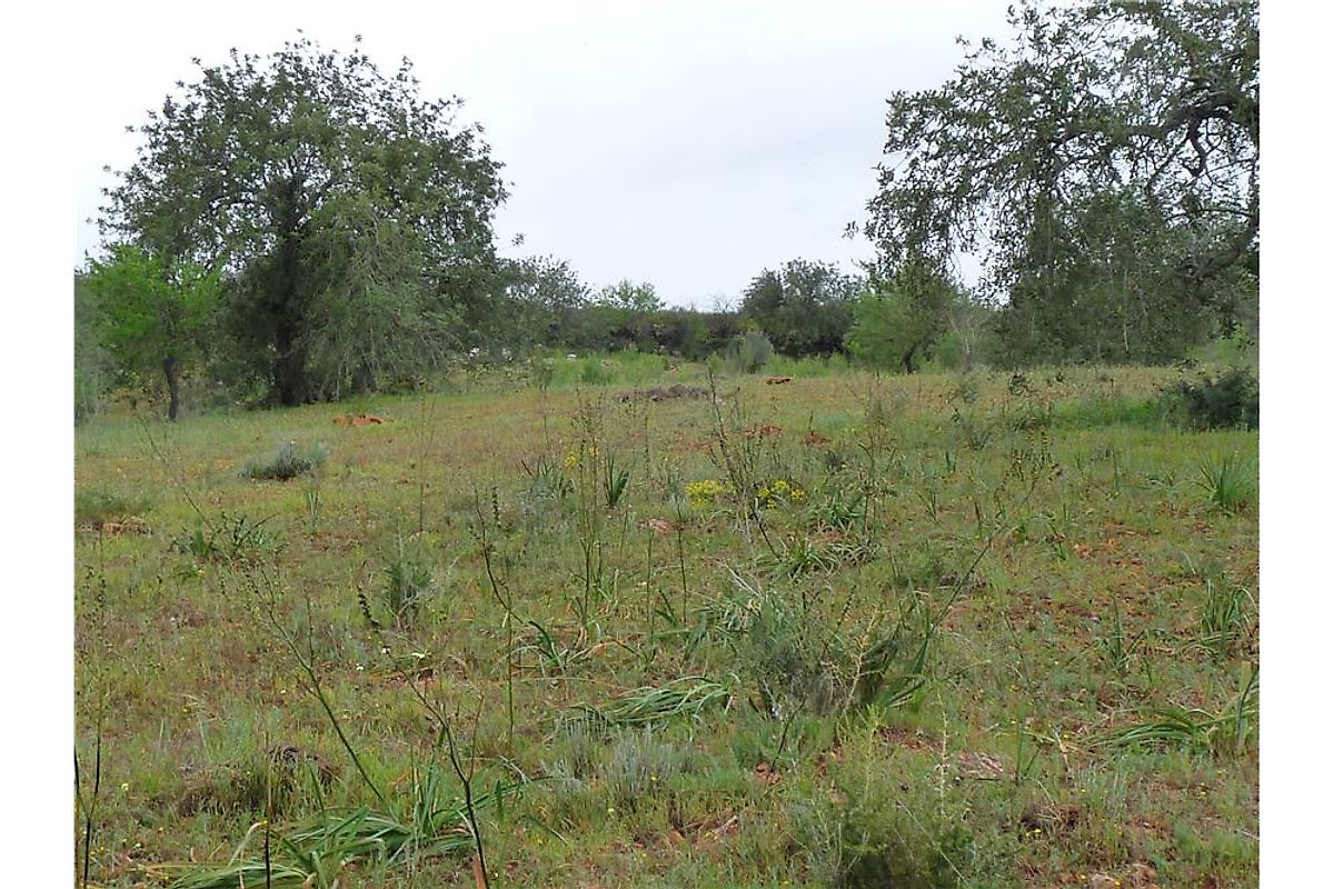 Terreno à venda em Albufeira