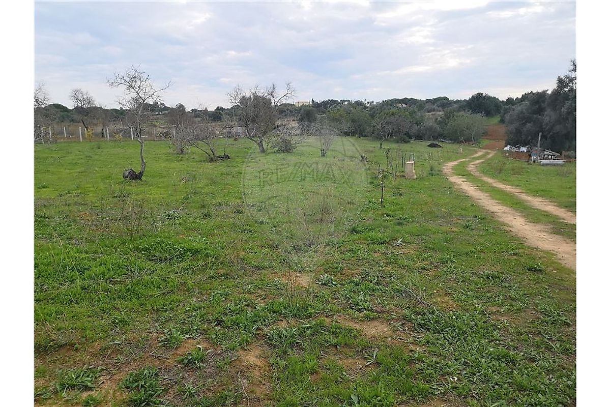 Terreno à venda em Salicos