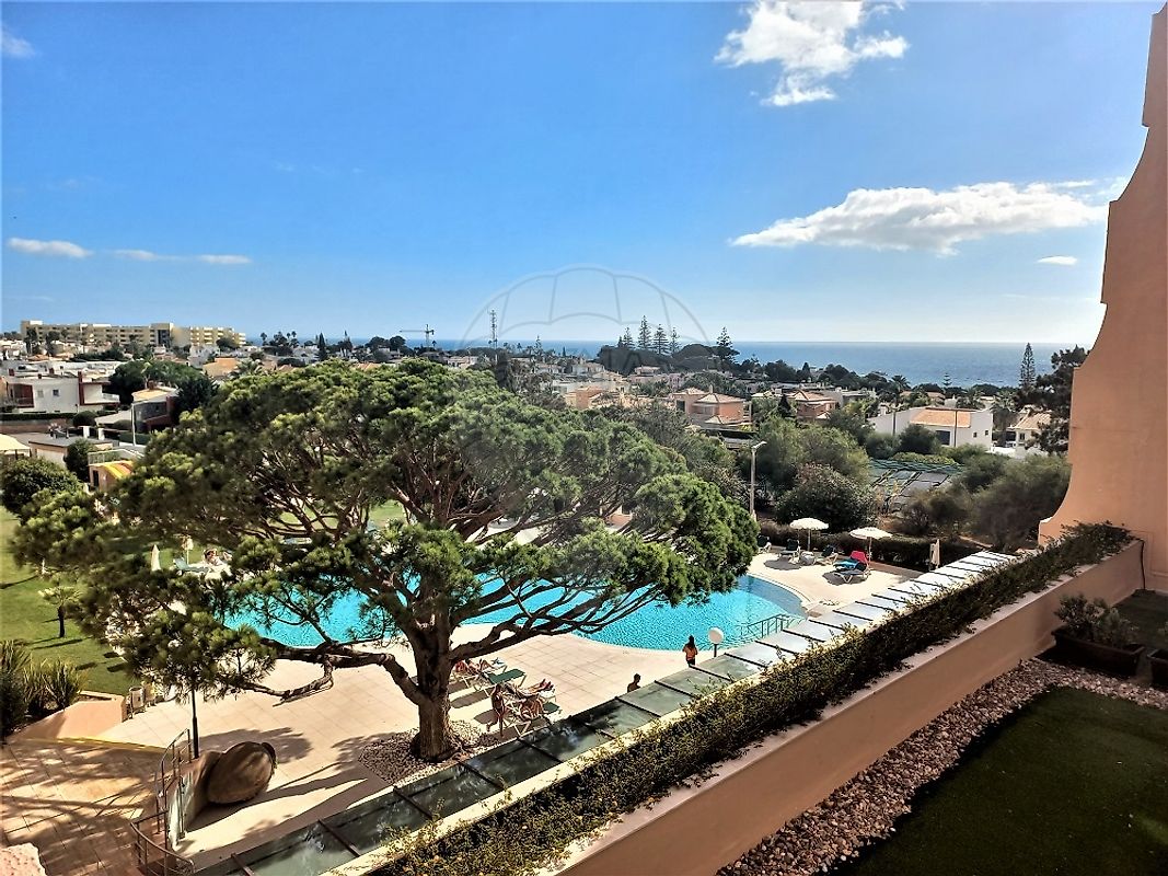 listing 122261294-80 picture-0