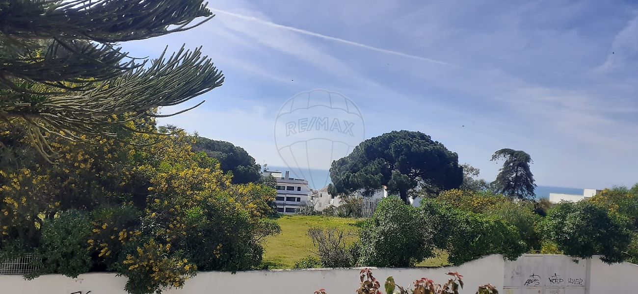 listing 122261431-20 picture-0