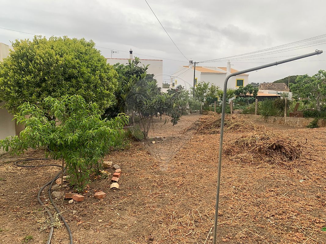 listing 122261399-185 picture-0