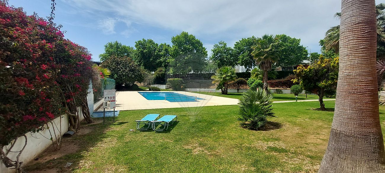 listing 122261405-1216 picture-0