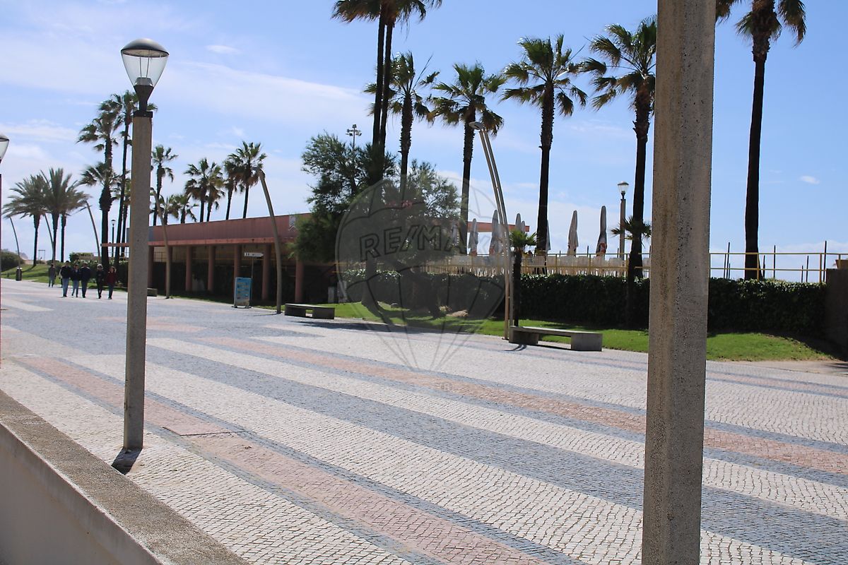 listing 122261271-394 picture-0