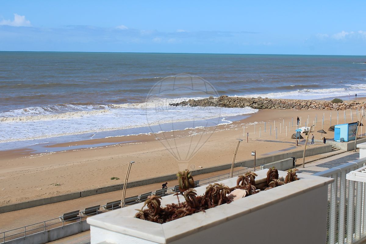 listing 122261271-394 picture-0