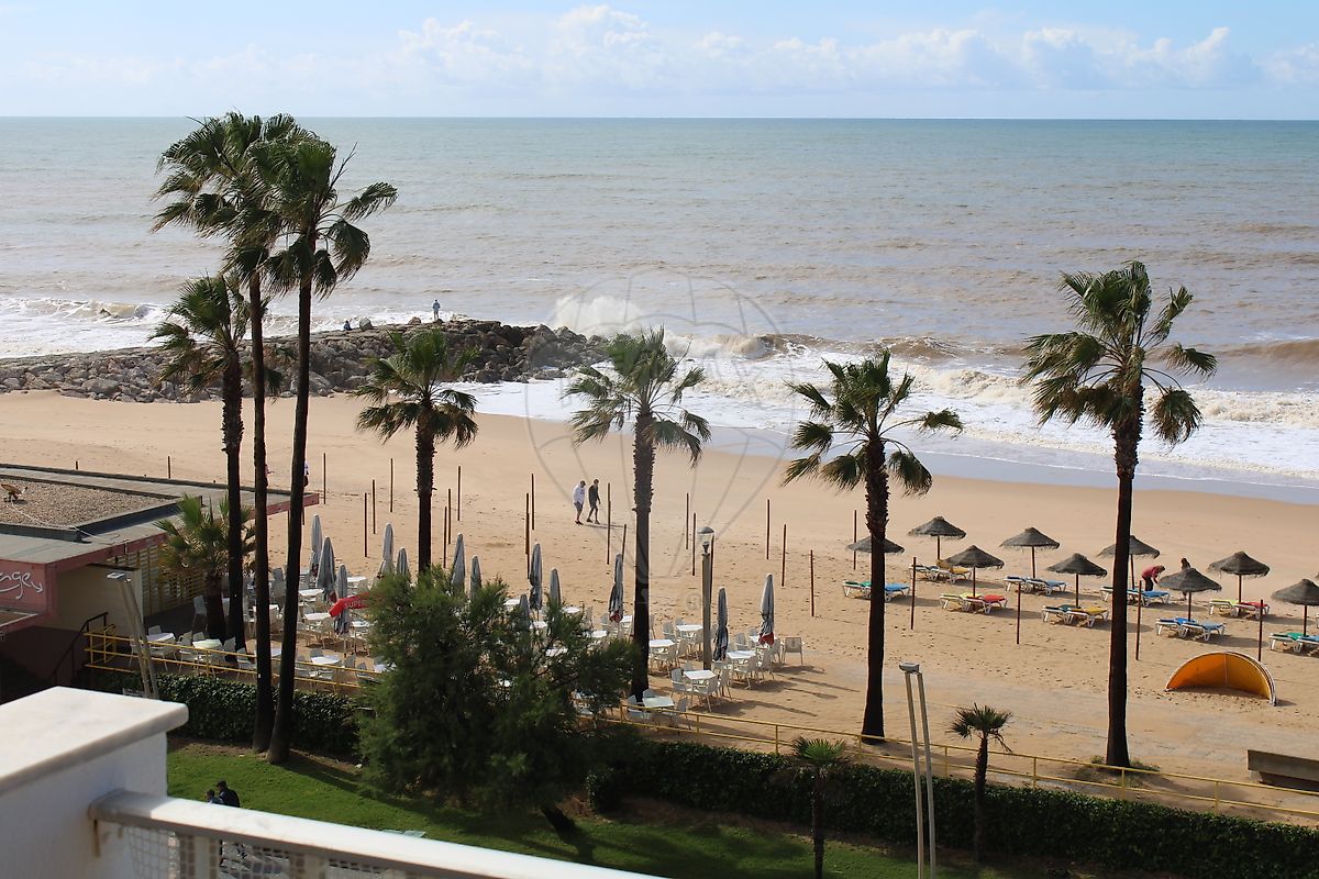 listing 122261271-394 picture-0