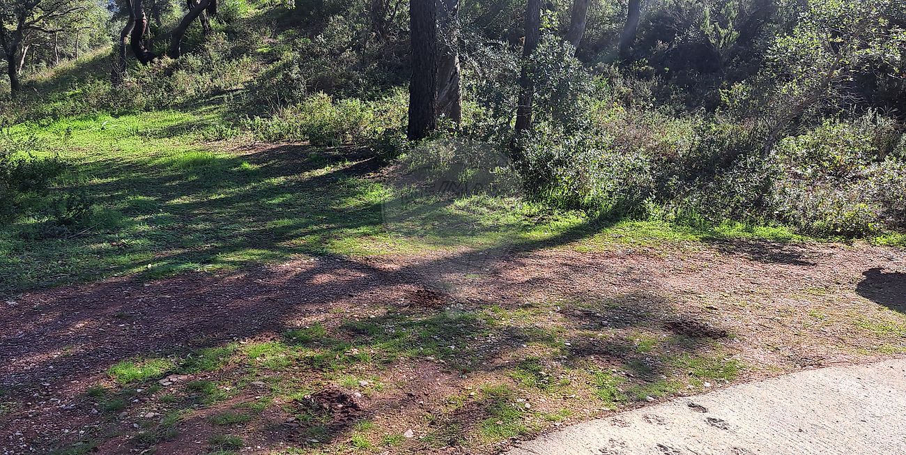 Terreno para venda
