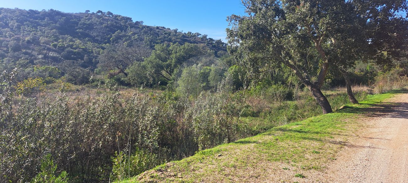 Terreno  para venda