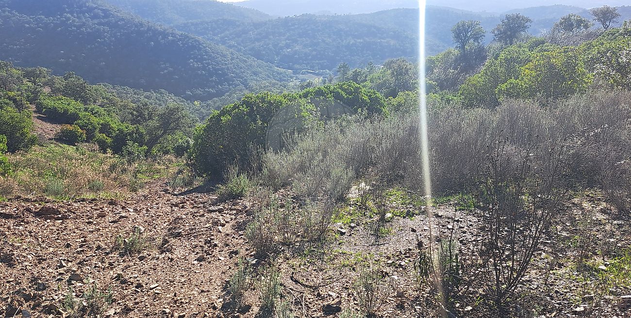 Terreno à venda em Loulé