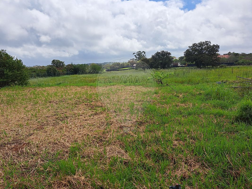 Terreno à venda em Silves