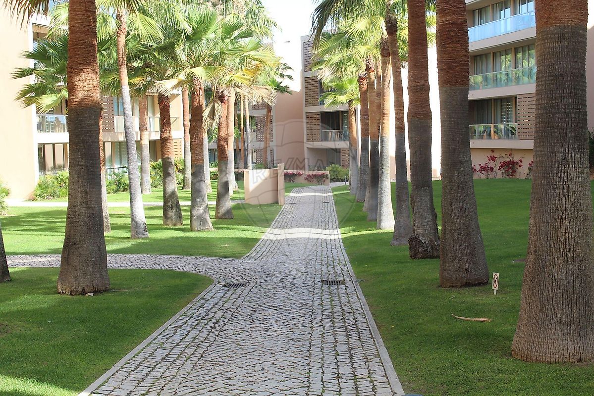 listing 122261136-1093 picture-0