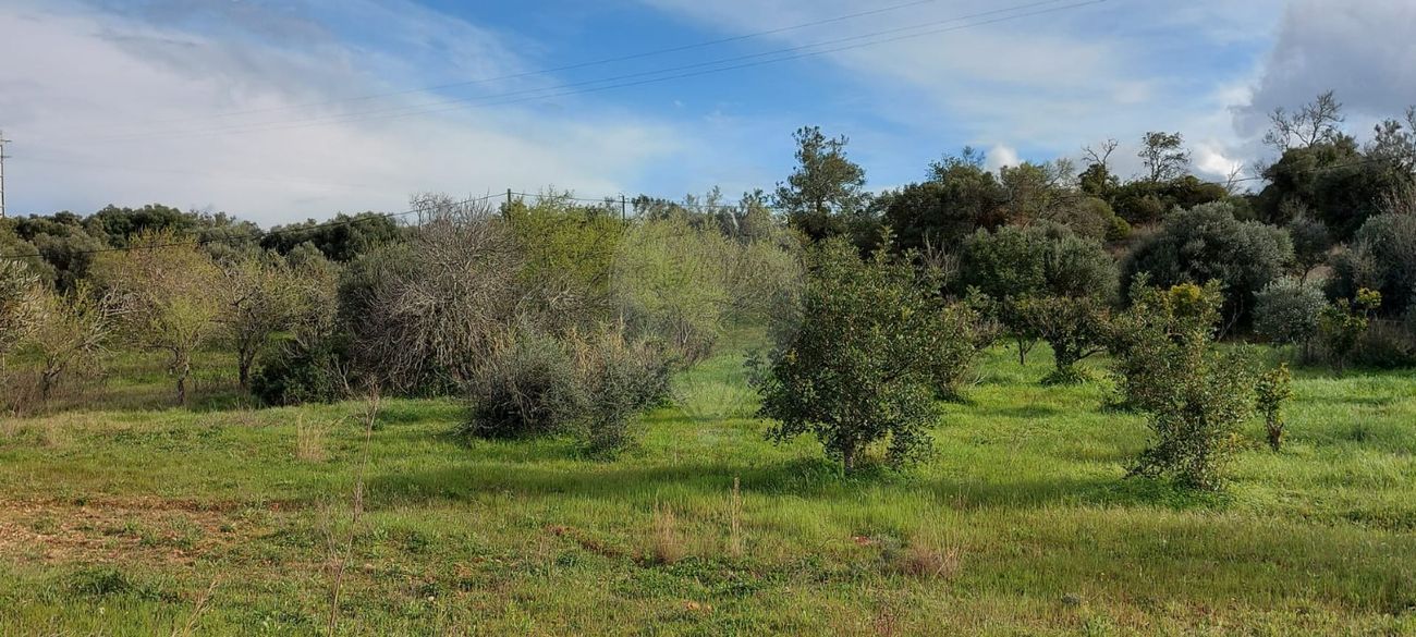 Terreno para venda