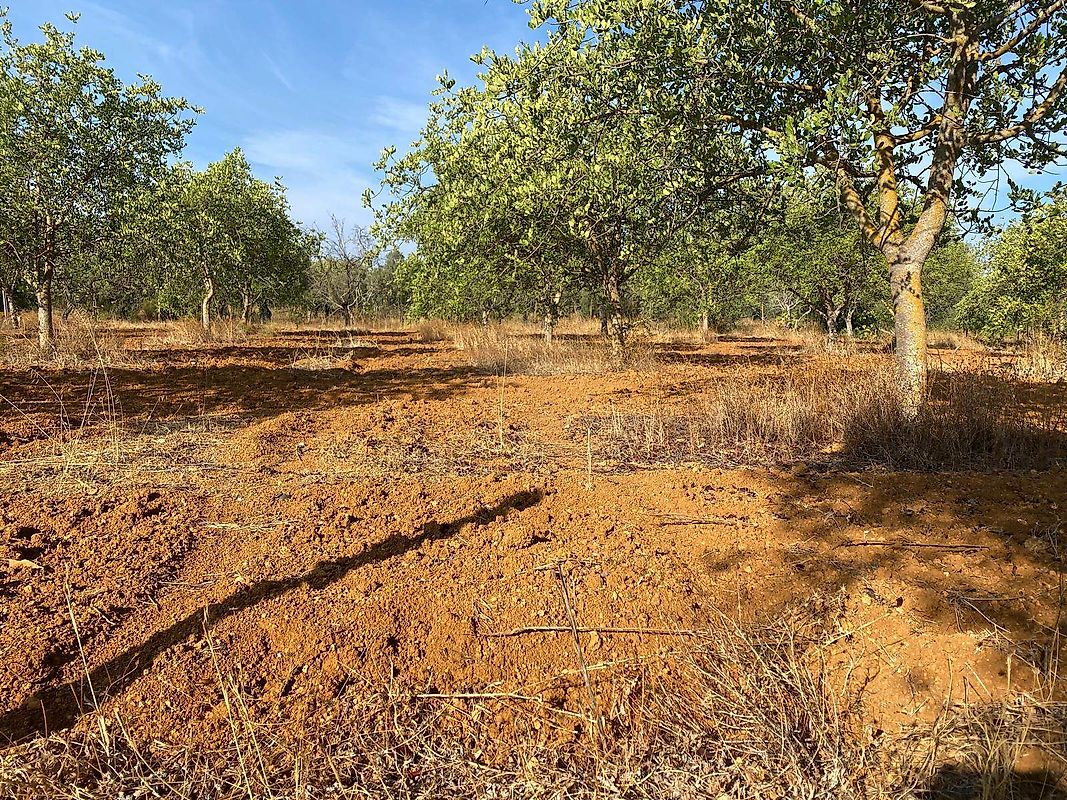 Terreno à venda em Campina de Cima
