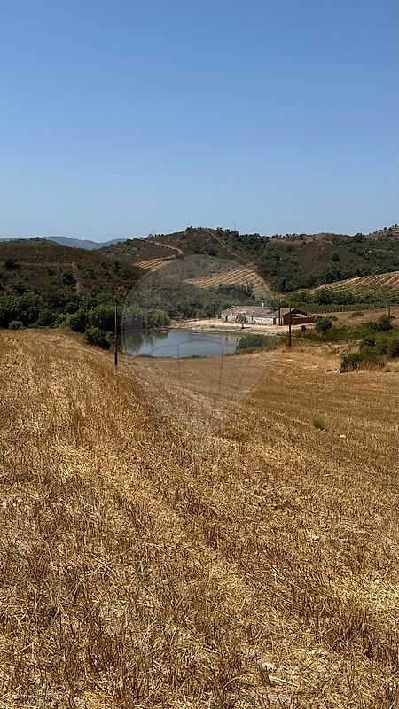 Quinta T3 para venda