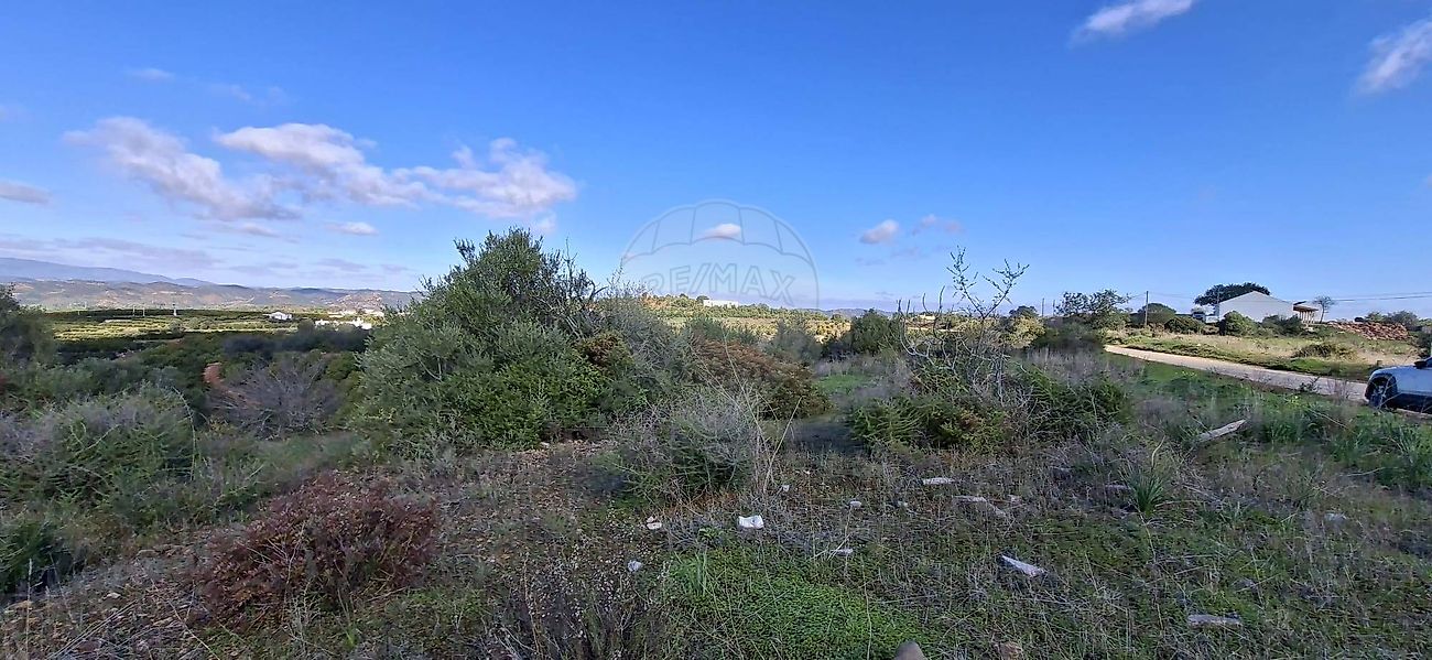 Terreno - Silves, Silves, Faro