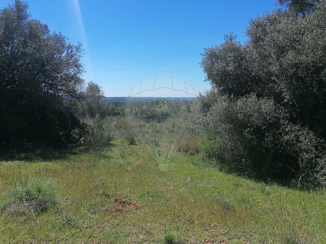 Terreno à venda em Silves