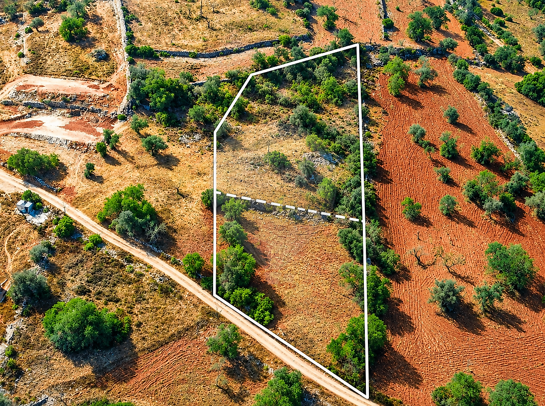 Terreno - Algoz e Tunes, Silves, Faro