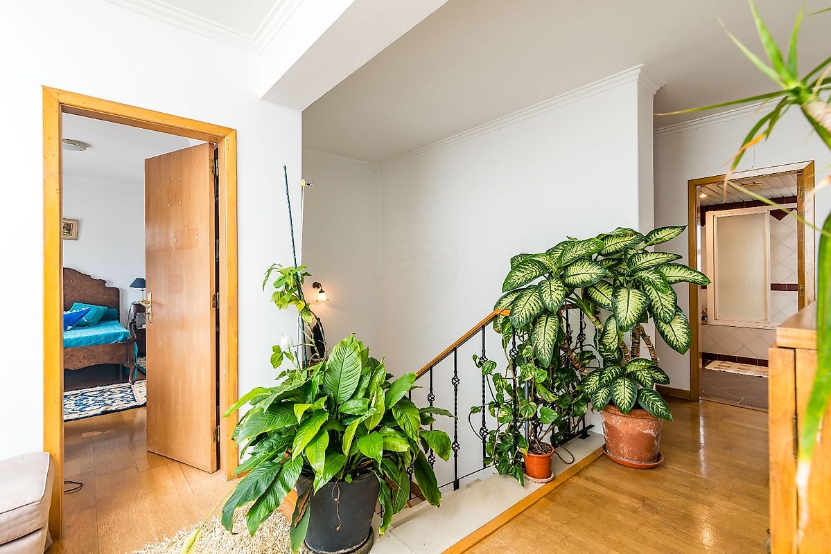 listing 122291092-528 picture-0