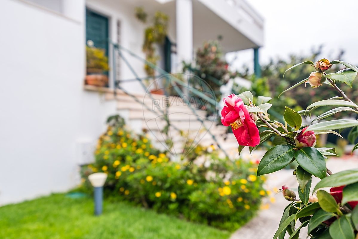 listing 122291092-528 picture-0