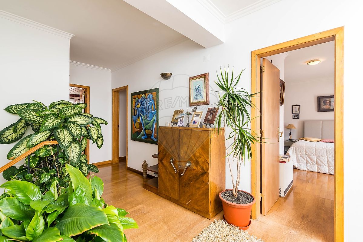 listing 122291092-528 picture-0