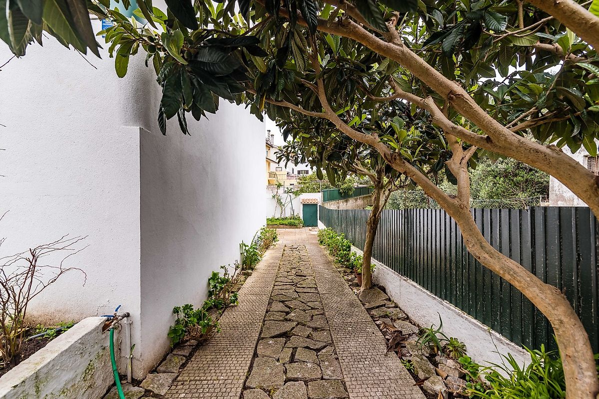 listing 122291092-528 picture-0